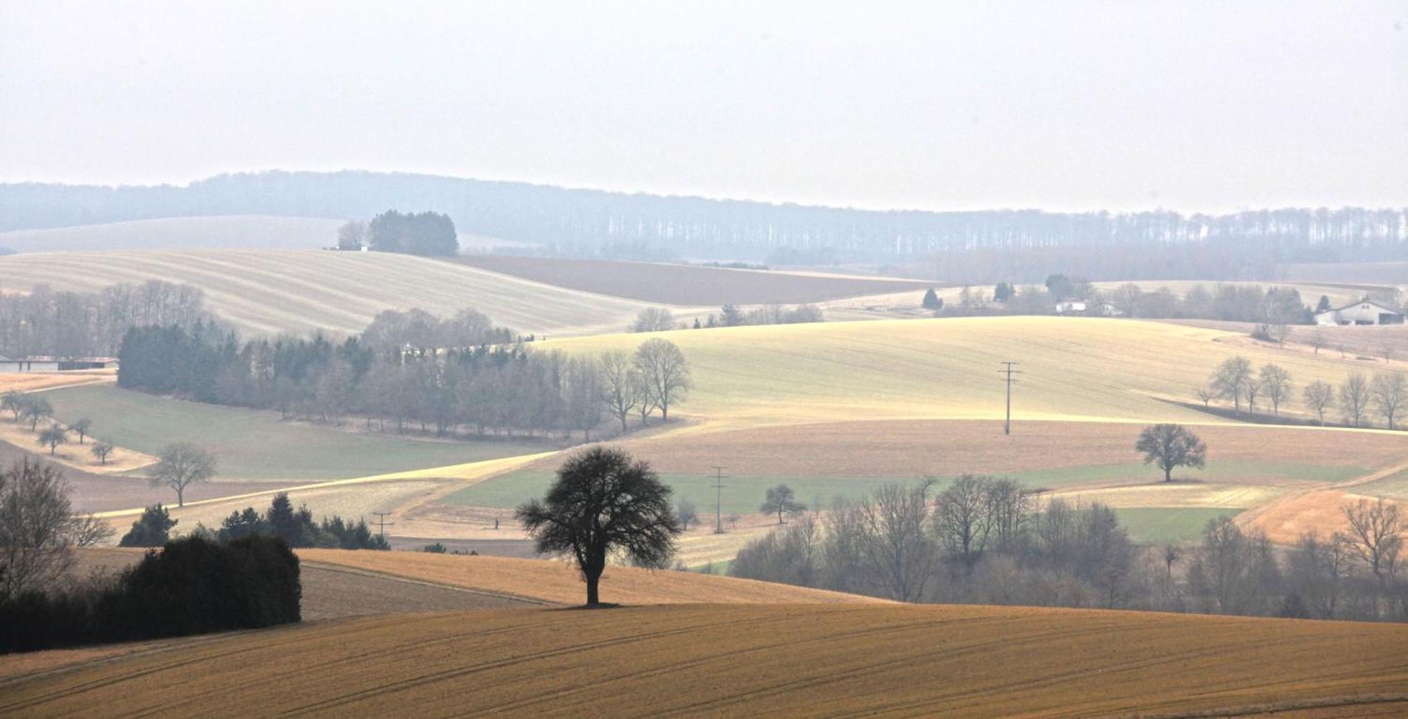 Ferienwohnung Jung Und Lind Bretten Bagian luar foto